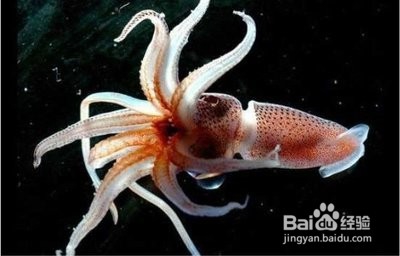 让牙齿快速变白的好方法