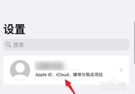 苹果手机关闭icould自动续费教程分享