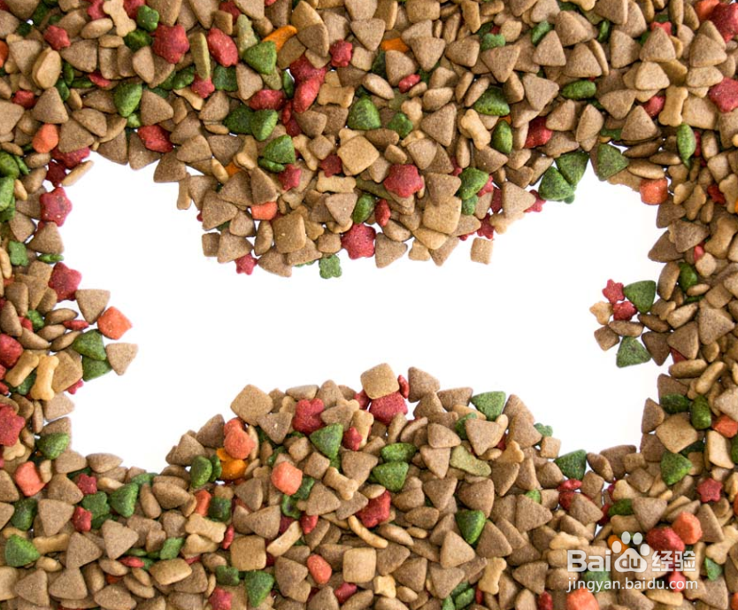 比熊狗毛毛变黄怎么办