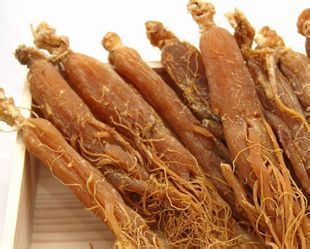 园参主要包括哪几种