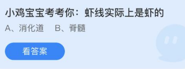 虾线实际上是虾的