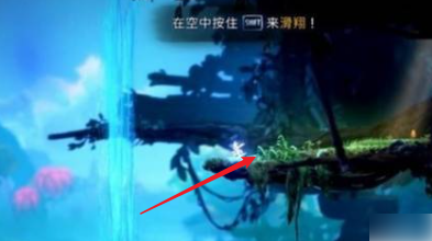 光之池的大石头怎么开