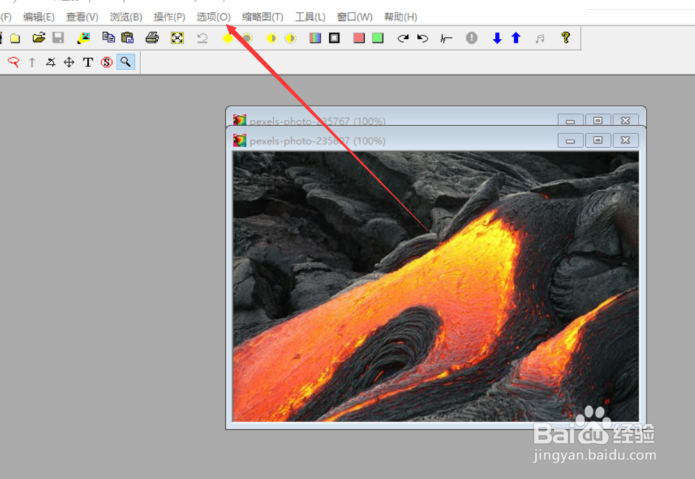 polyview如何启用插入式缩放功能？