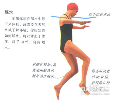 学游泳如何熟悉水性