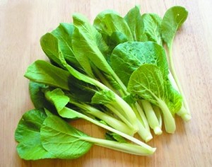 中医推荐 十种药食兼具的养生好食材!!!