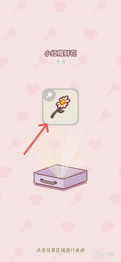 食物归类者如何才能获得小红帽鲜花