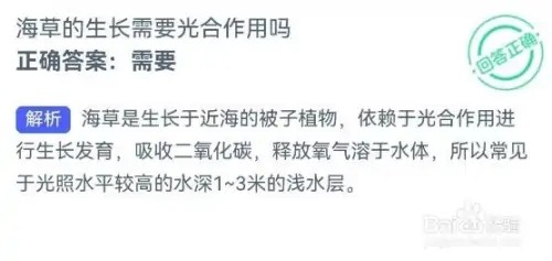 海草的生长需要光合作用吗？神奇海洋1.22答案