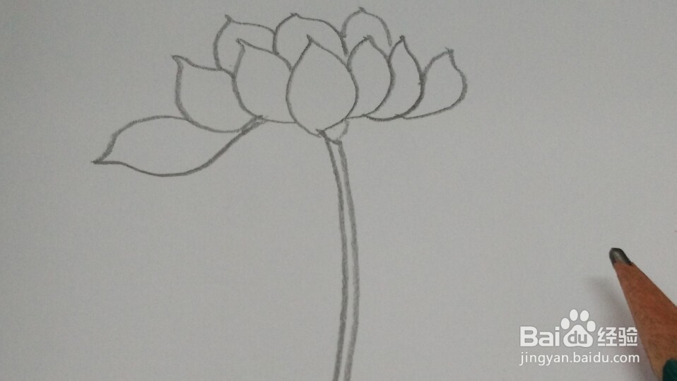 油画棒画【荷花】简单教程