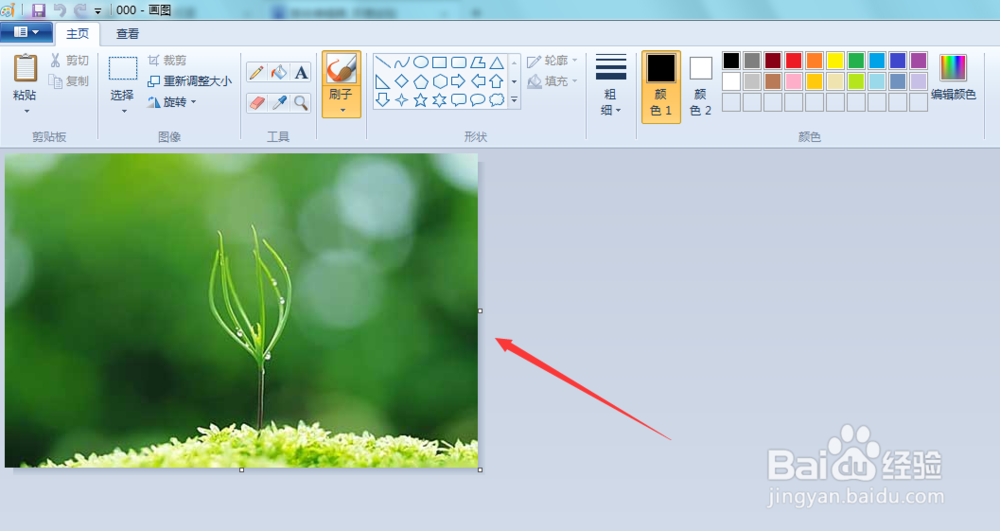 如何使用Windows画图软件调整图片大小