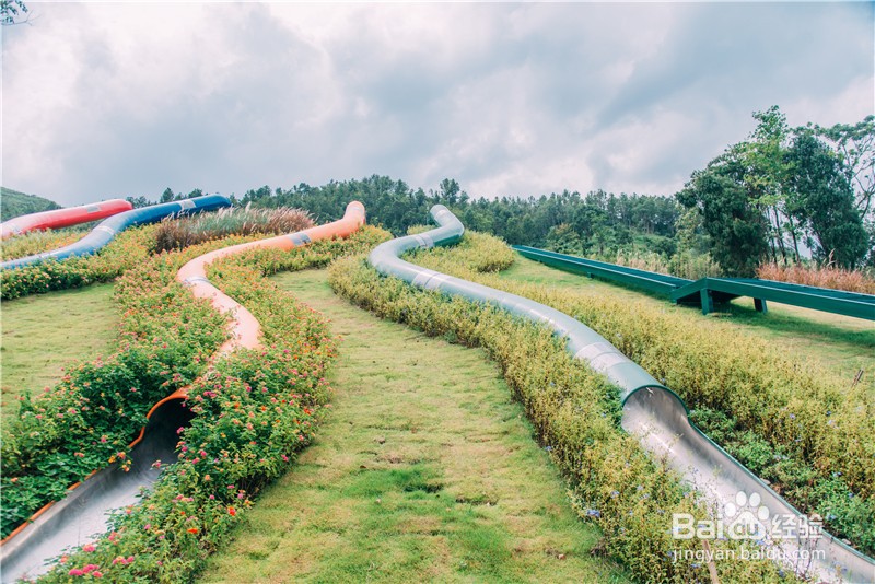 铁定溜溜乐园游玩攻略