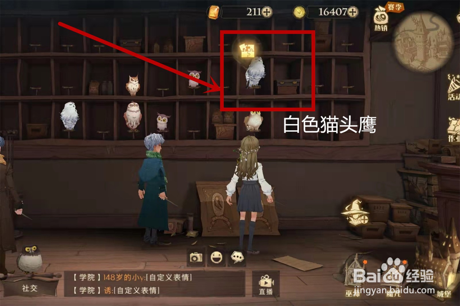 哈利波特魔法觉醒拼图10.21位置攻略