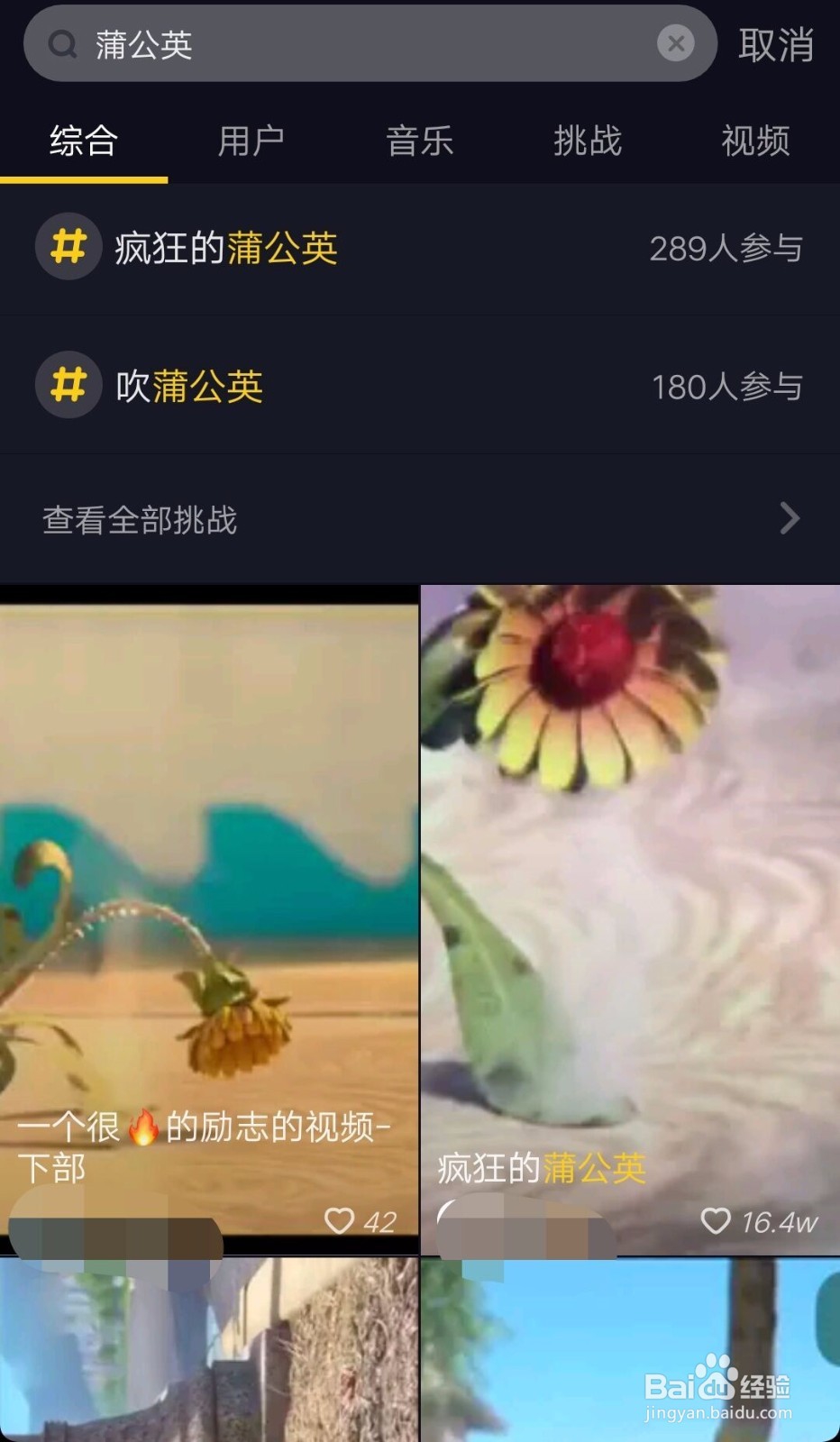 抖音励志蒲公英（手机）电脑动态壁纸设置攻略