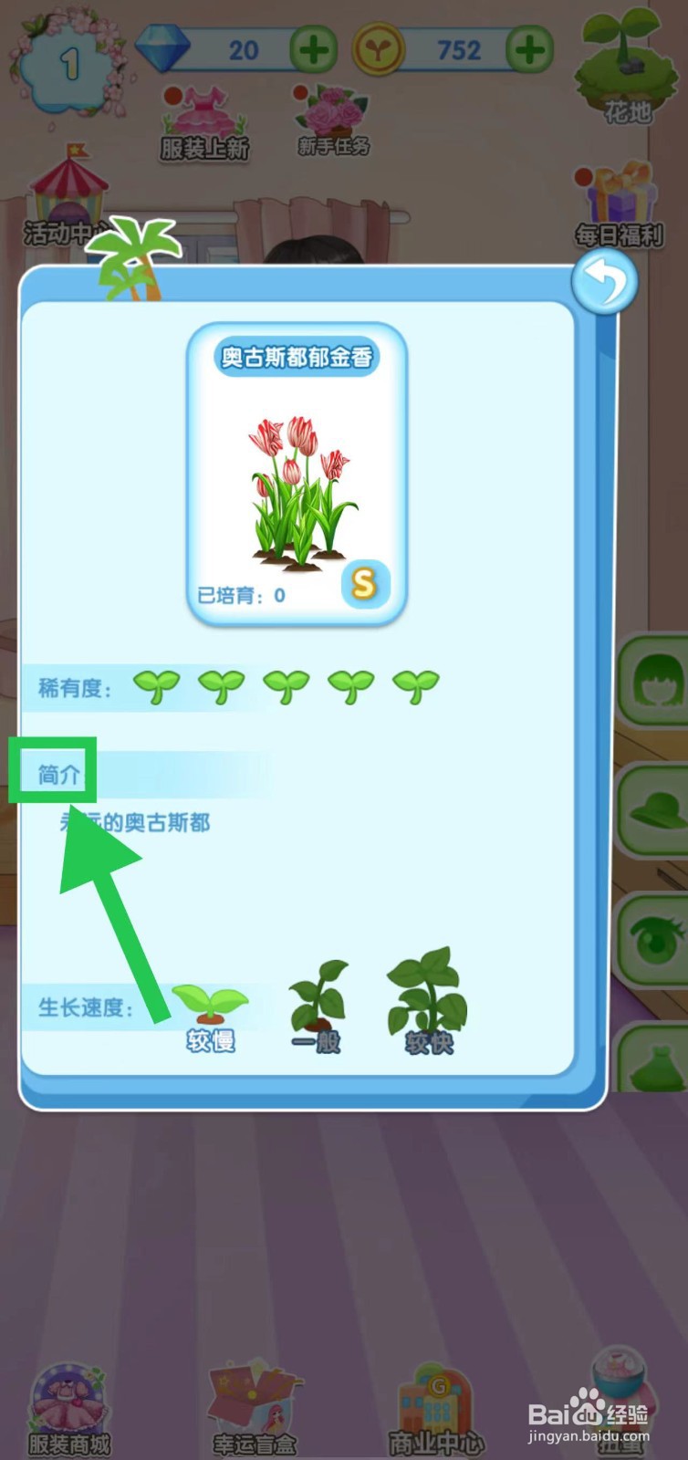 花花姑娘之魔法花园怎么查看奥古斯都郁金香简介