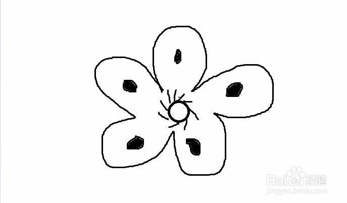 五瓣花朵如何手绘
