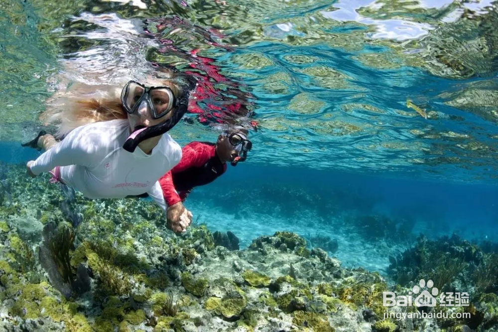 绝美海岛——苏梅岛旅游攻略