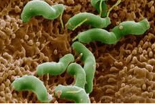 糜烂性胃炎有什么危害?