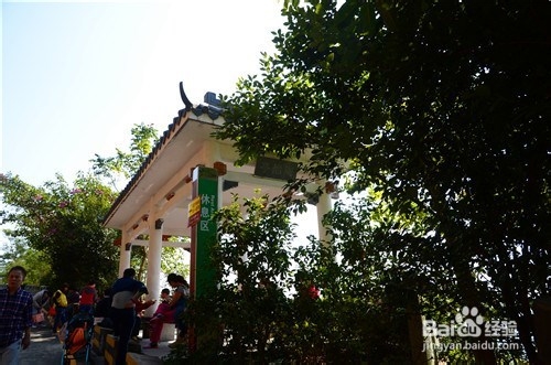 【深圳免费景点篇】塘朗山郊野公园游玩攻略