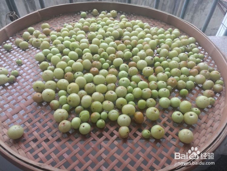 余甘果的正宗腌制方法