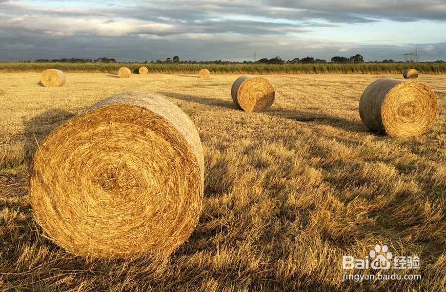 如何区别r9splus和x9plus哪个好