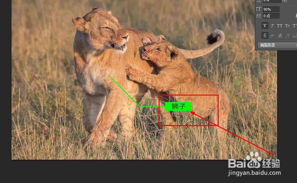 Photoshop如何绘制标签