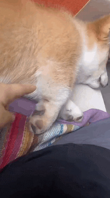 光遇办公室有什么好玩的