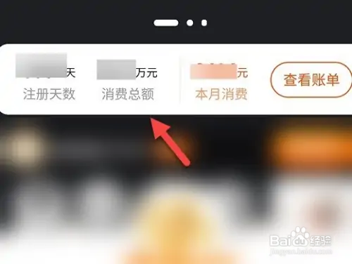 淘宝消费总额怎么查看