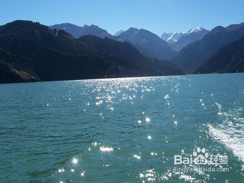 沉醉在美丽的天山天池