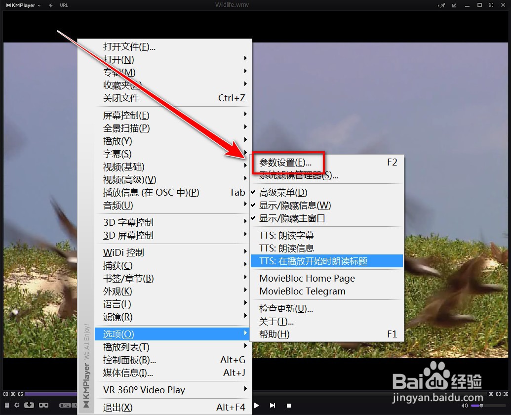 KMPlayer如何记住加载的音频位置