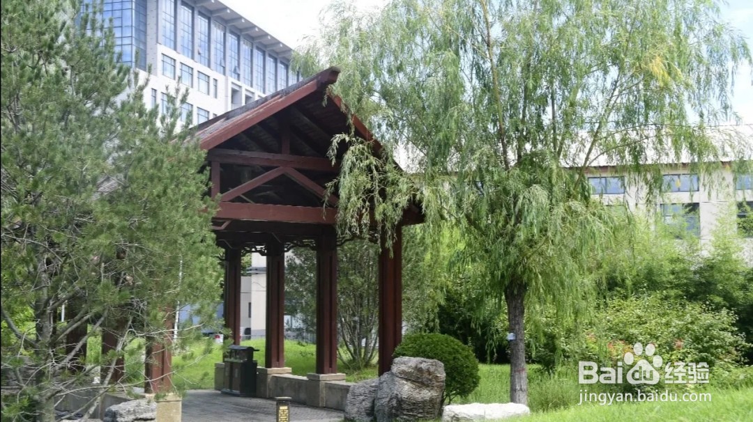 #萌新听我说#防灾科技学院校园攻略篇