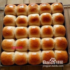 蜂蜜奶香小排包