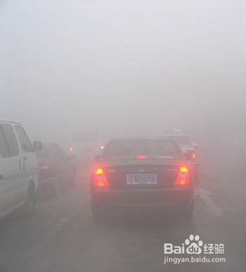 雾天开车安全原则