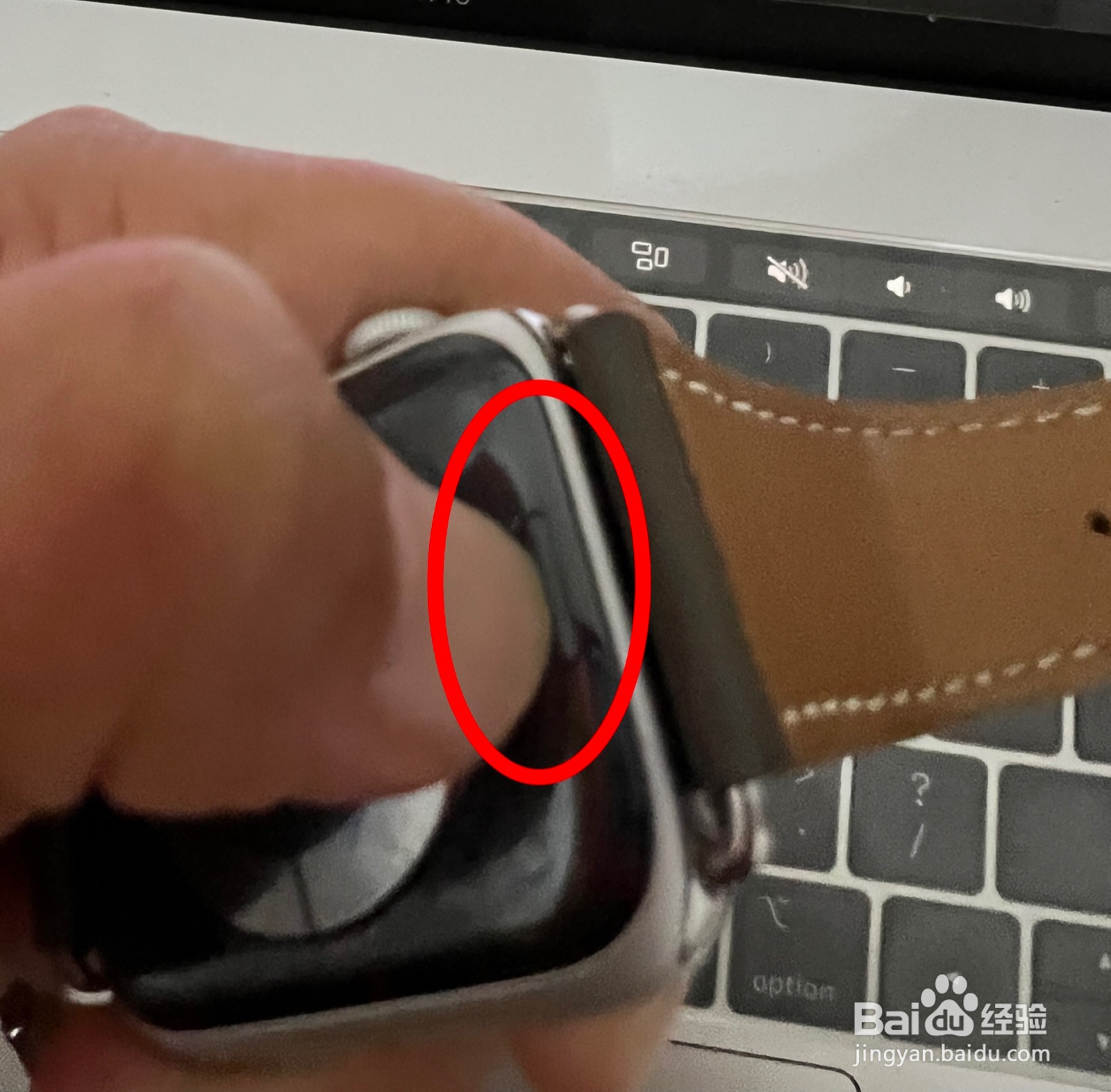 苹果手表表带怎么拆