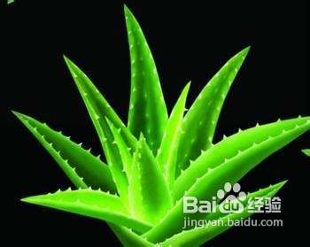 如何去除脚气五个妙招