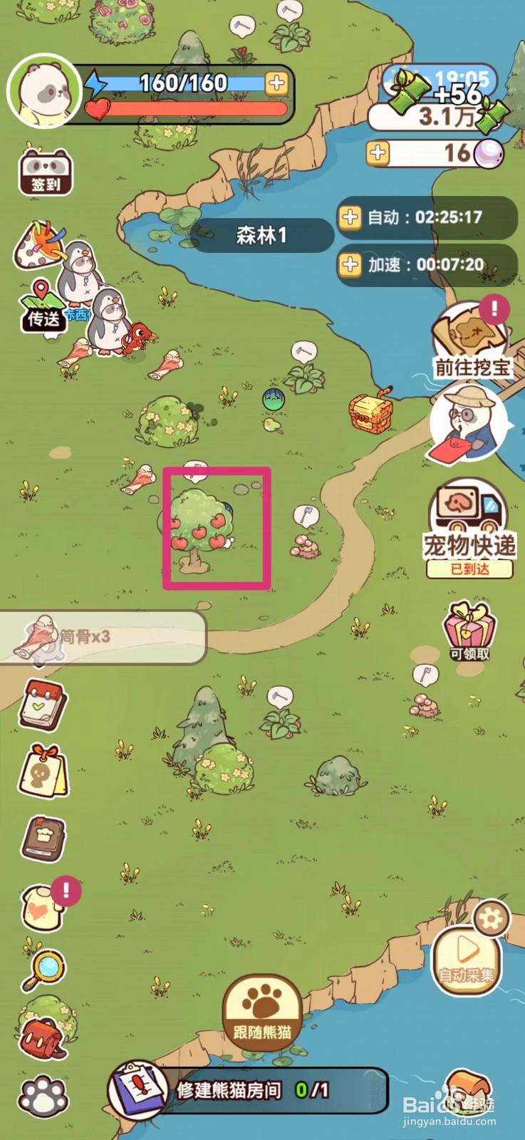 熊猫餐厅如何采集野生苹果