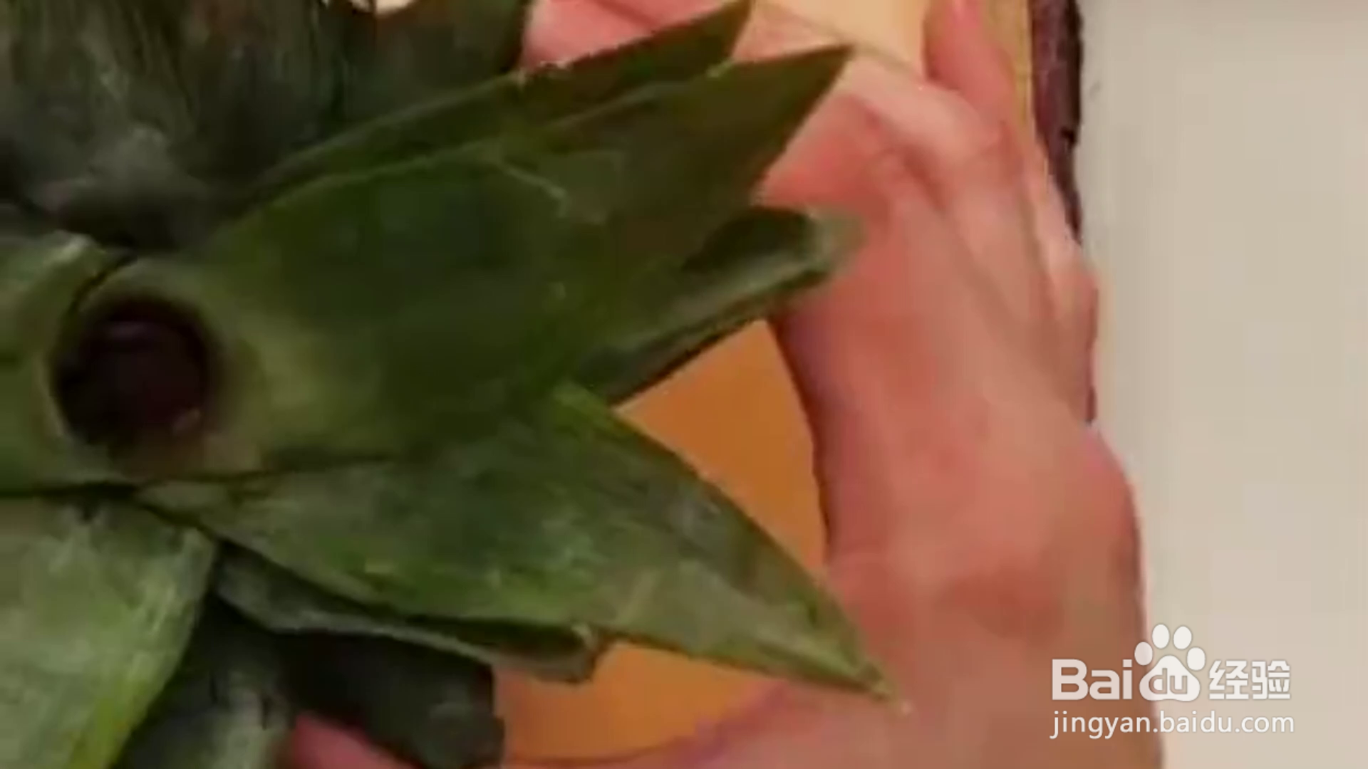 教你这些种植小妙招？
