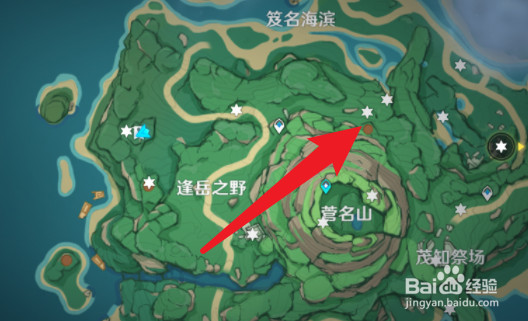 原神栖木羽毛详细位置大全