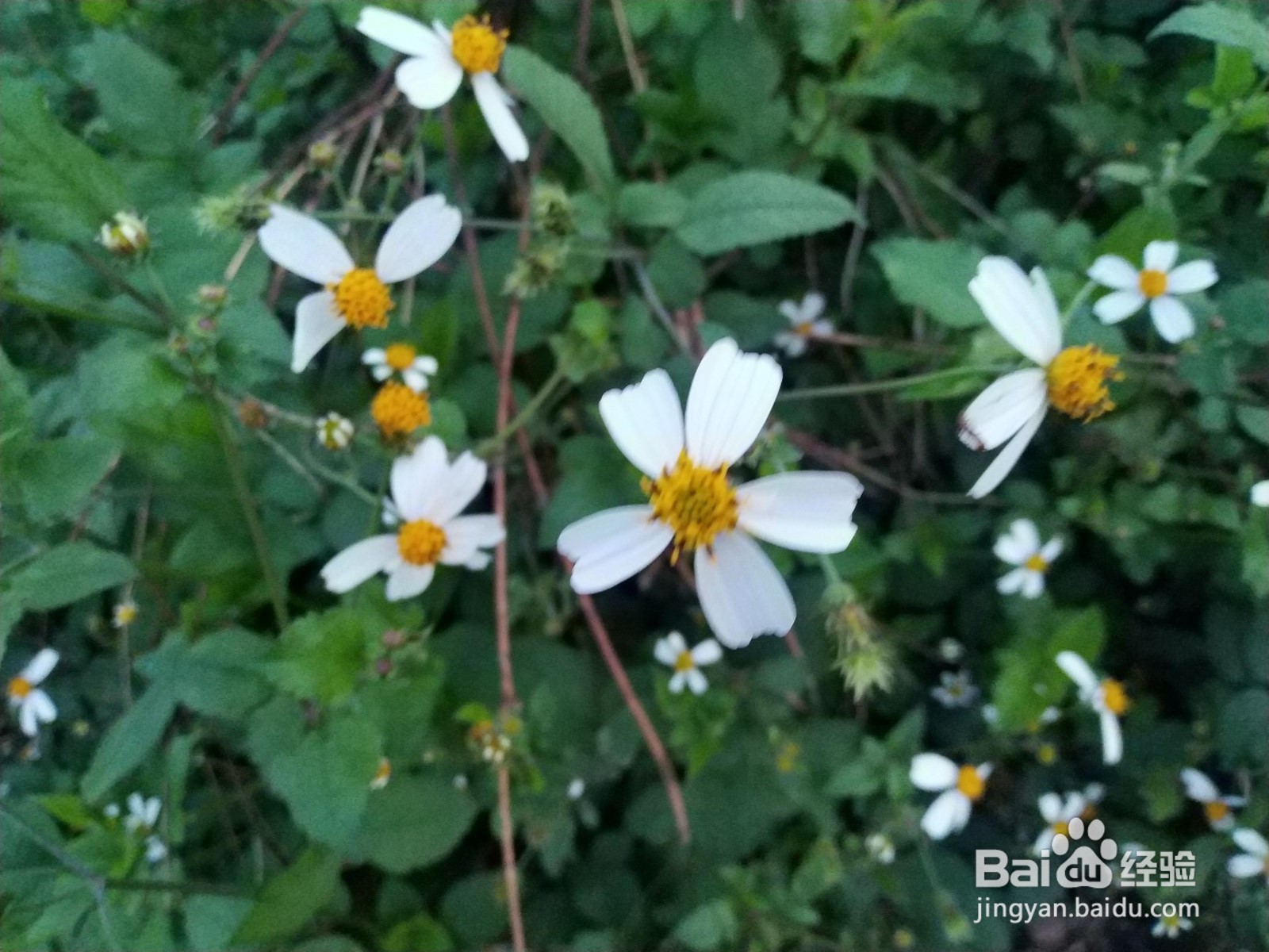 滚涂施工过程要求控制要素有哪些？