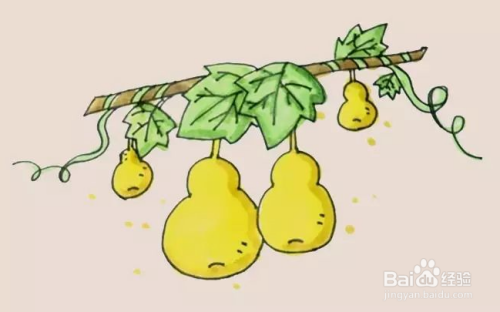 制作葫芦简笔画