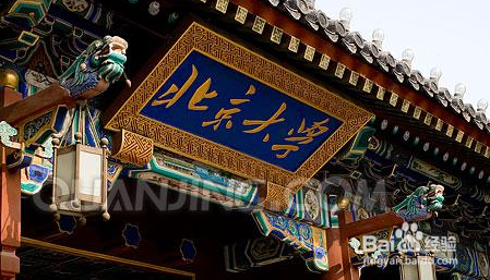 高考知分报志愿怎样报考