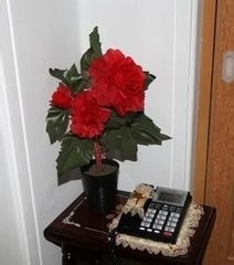 朝鲜高富帅的房子布置是怎样的