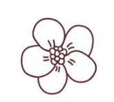 如何画桃花简笔画