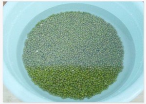 起沙绿豆汤的做法步骤图，起沙绿豆汤怎么做