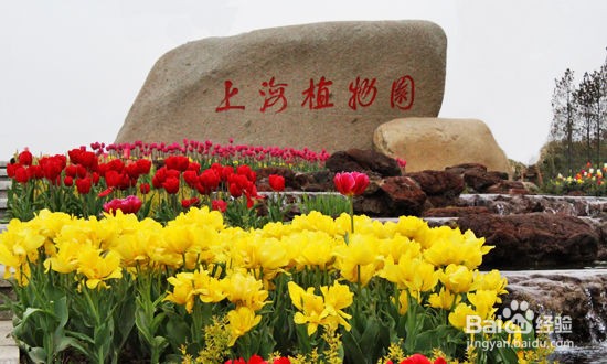 徐家汇有什么好玩的地方