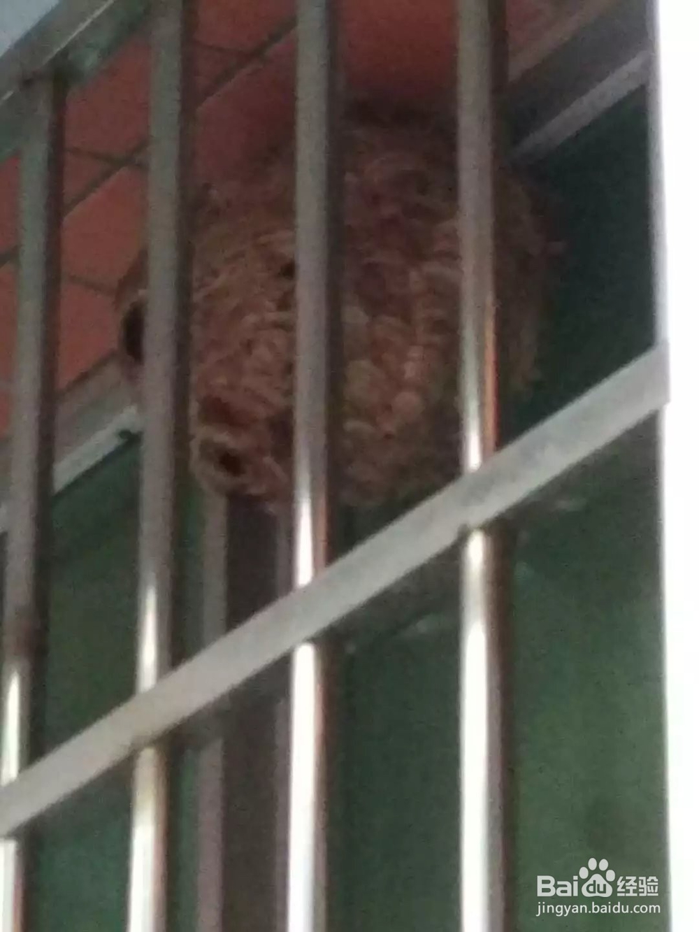 如何处理蜂窝
