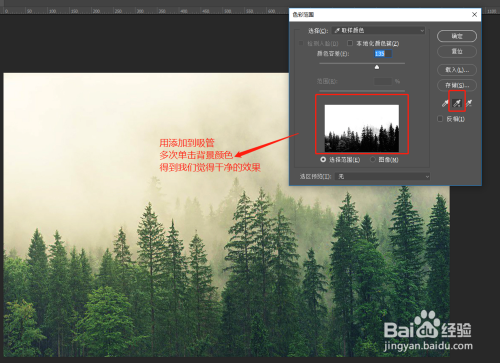 PS中怎么将松树林抠图抠出来