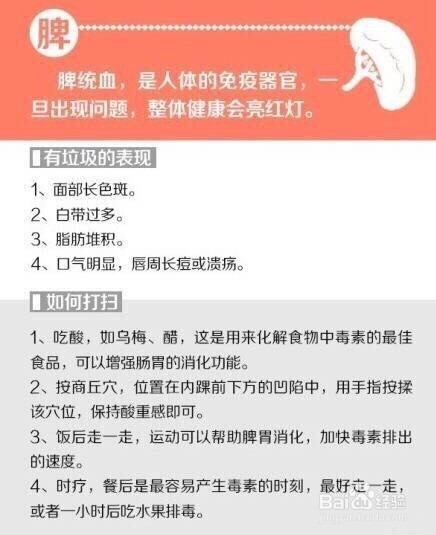 怎样使自己的五脏六腑更健康