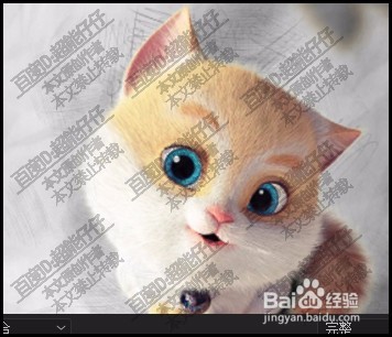 pr中如何把猫咪两只眼睛变亮