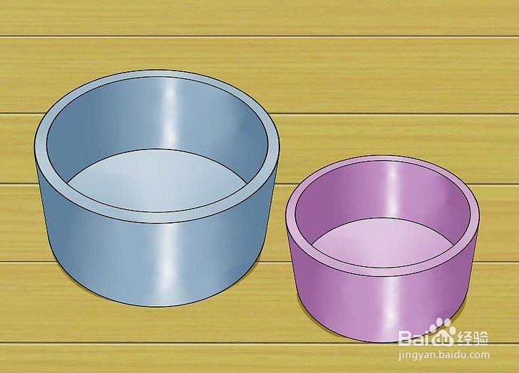 如何喂养宠物鼠