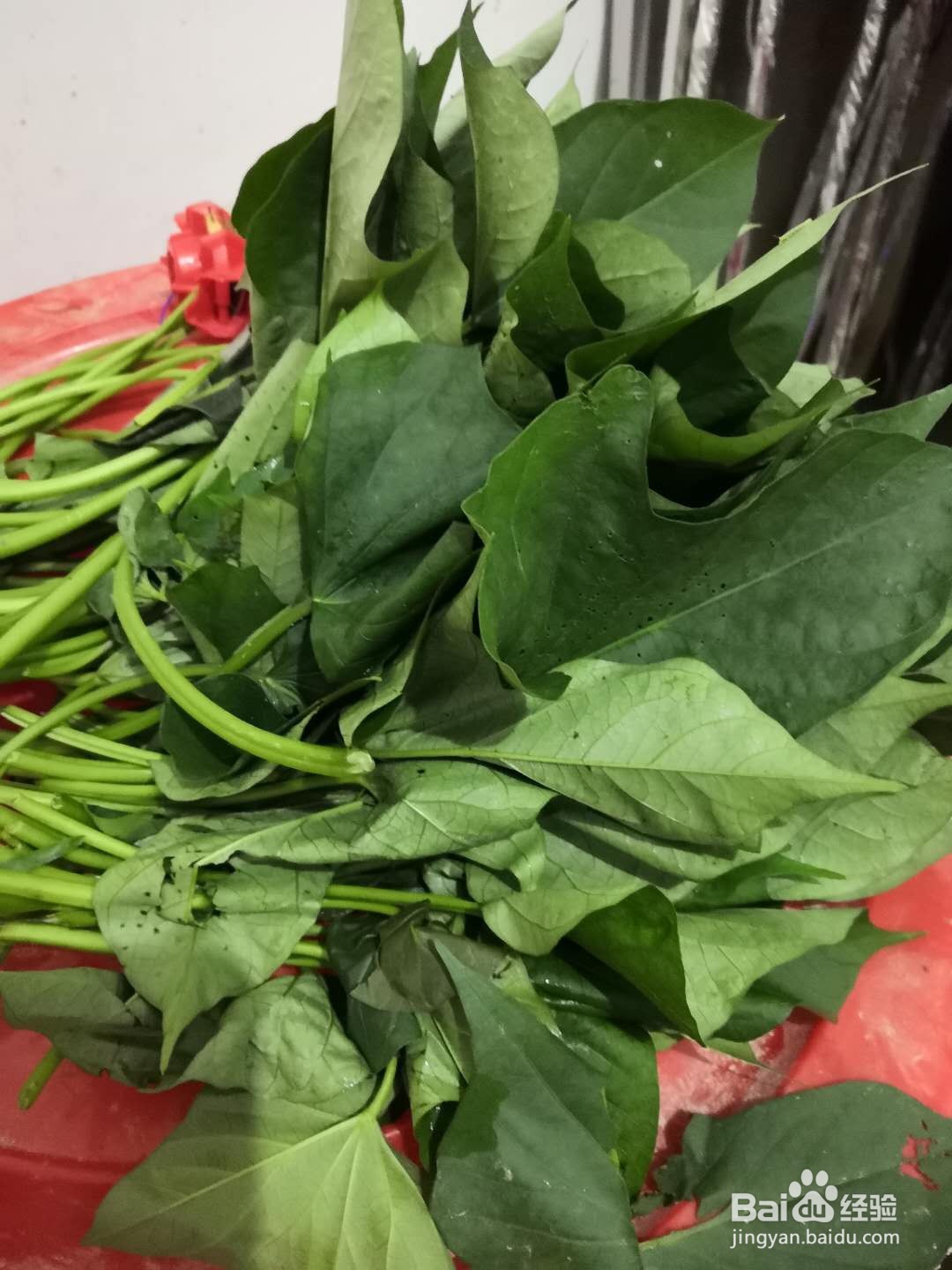 蒸红薯叶家常吃法