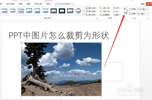 PPT中图片怎么裁剪为形状
